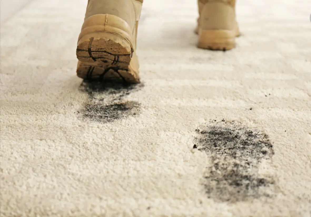 Commercial Carpet Cleaning in Alexandria, VA
