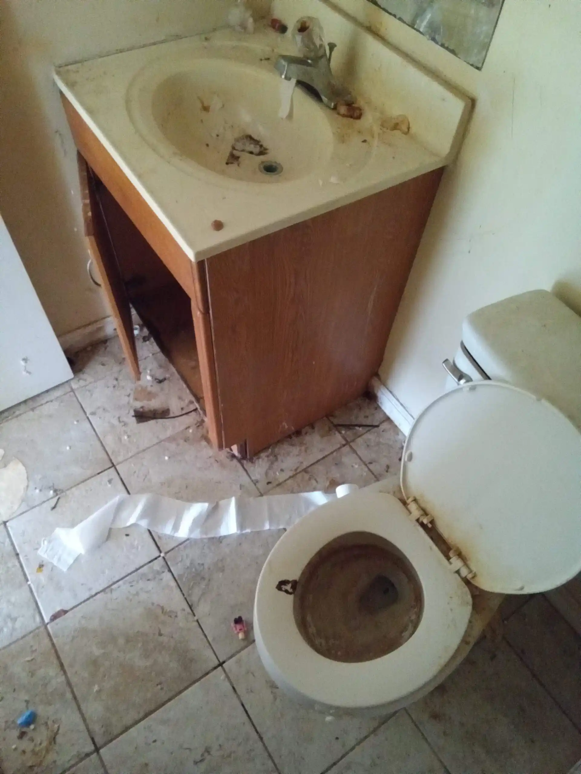 Mold Removal Alexandria VA